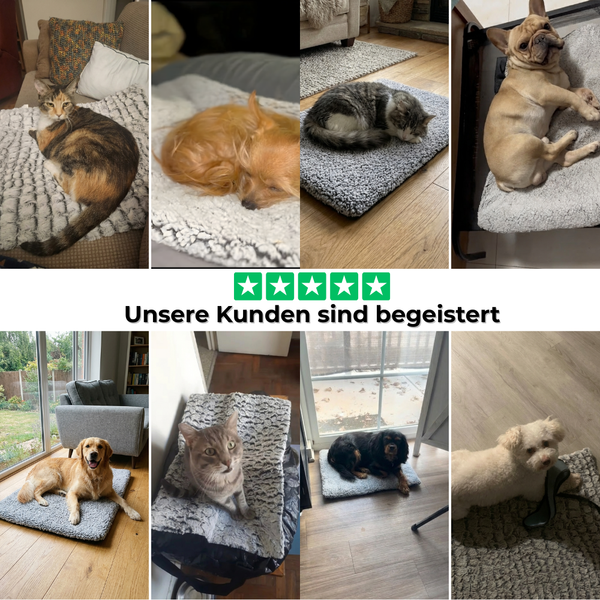 WärmeKissen Haustier Komfort Pad