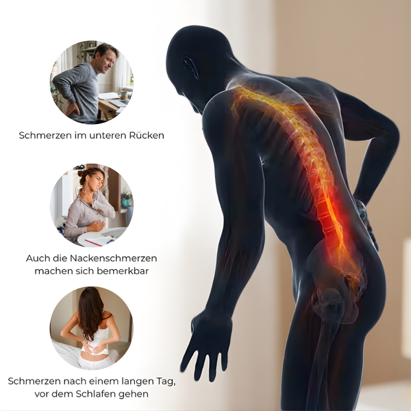 Rückenstütze Komfortkissen